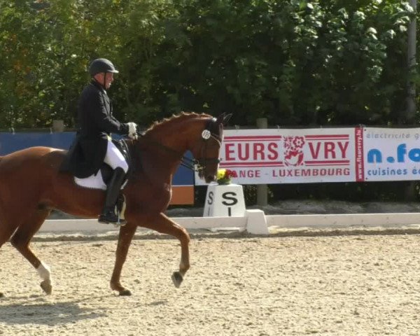 Reitturnier Hünsdorf-Ecurie Josy Hoffmann 2017