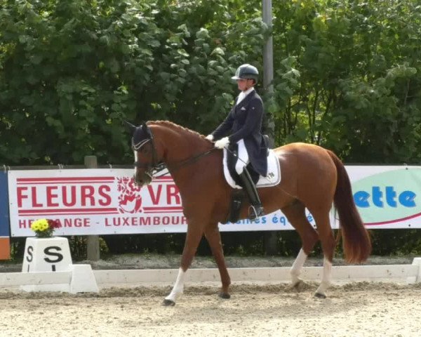 Reitturnier Hünsdorf-Ecurie Josy Hoffmann 2017