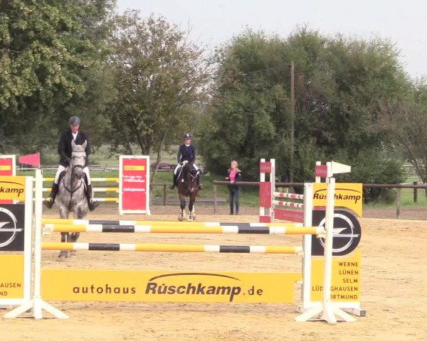 Reitturnier Lüdinghausen-Westrup 2017