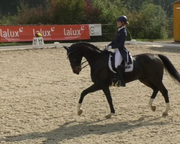 Reitturnier Hünsdorf-Ecurie Josy Hoffmann 2017