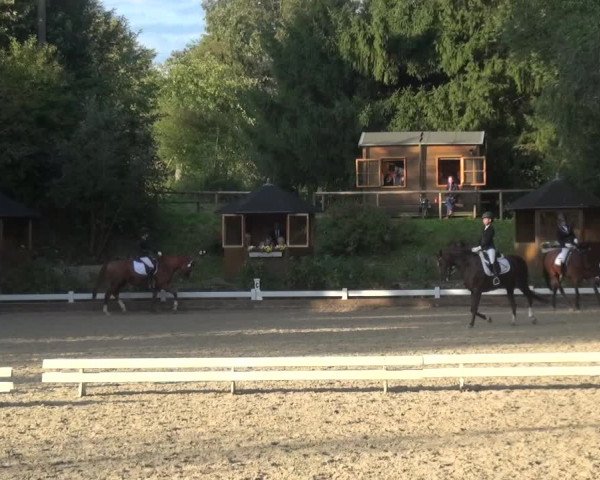 Reitturnier Mettmann - Reitanlage Löckenhoff 2017
