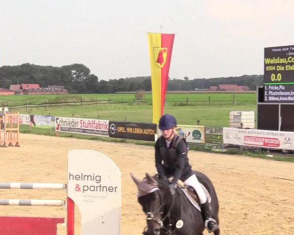 Reitturnier Lüdinghausen-Westrup 2017