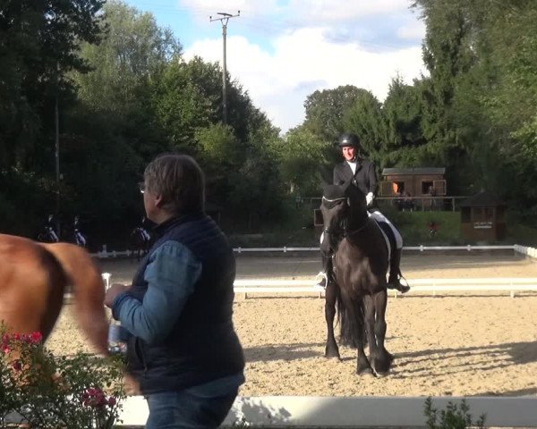 Reitturnier Mettmann - Reitanlage Löckenhoff 2017