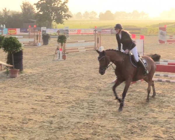 Reitturnier Lüdinghausen-Westrup 2017