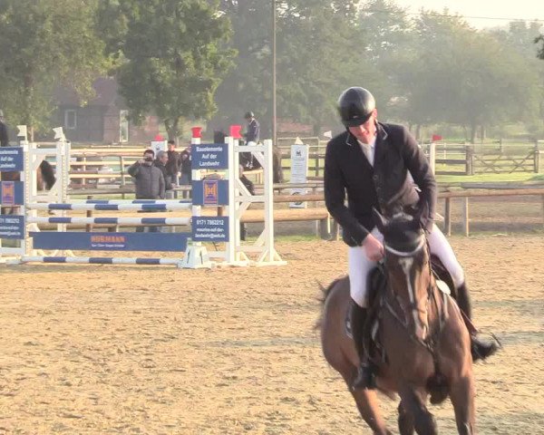 Reitturnier Lüdinghausen-Westrup 2017