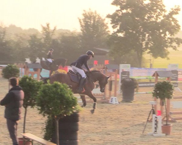 Reitturnier Lüdinghausen-Westrup 2017