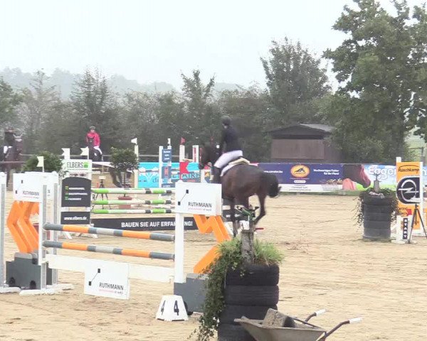 Reitturnier Lüdinghausen-Westrup 2017