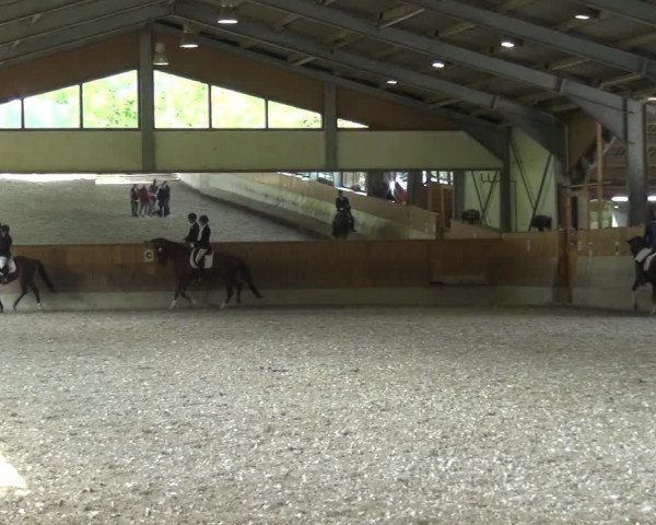 Reitturnier Mettmann - Reitanlage Löckenhoff 2017