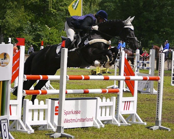 broodmare Déjà-vu 3 (Westphalian, 2006, from Dream On)