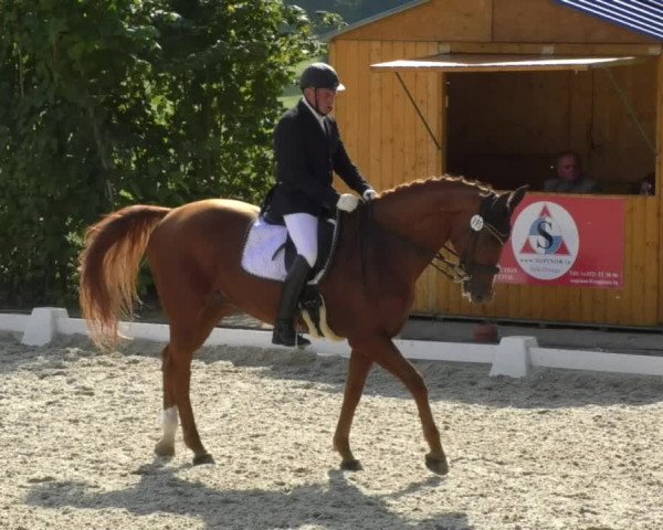 Reitturnier Hünsdorf-Ecurie Josy Hoffmann 2017