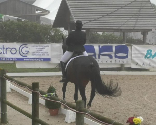 Reitturnier Hünsdorf-Ecurie Josy Hoffmann 2017
