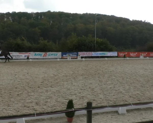 Reitturnier Hünsdorf-Ecurie Josy Hoffmann 2017