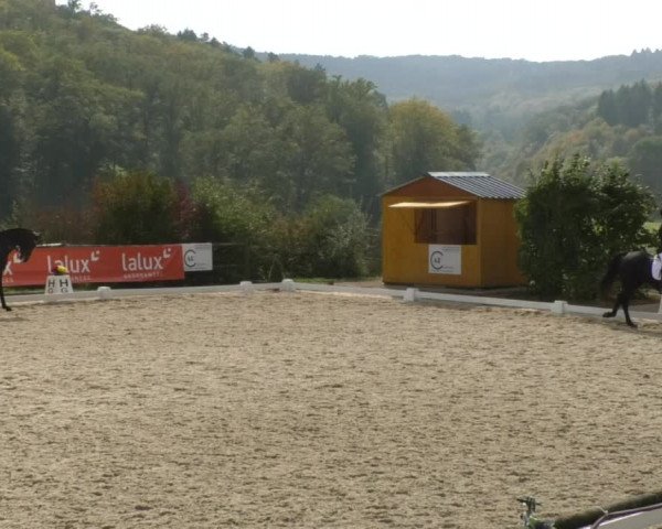 Reitturnier Hünsdorf-Ecurie Josy Hoffmann 2017