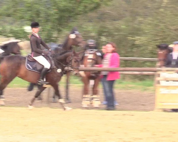 Reitturnier Lüdinghausen-Westrup 2017