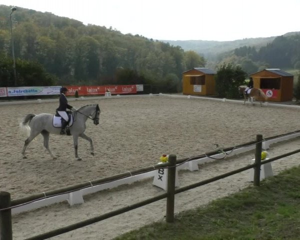 Reitturnier Hünsdorf-Ecurie Josy Hoffmann 2017