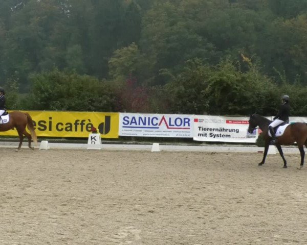Reitturnier Hünsdorf-Ecurie Josy Hoffmann 2017