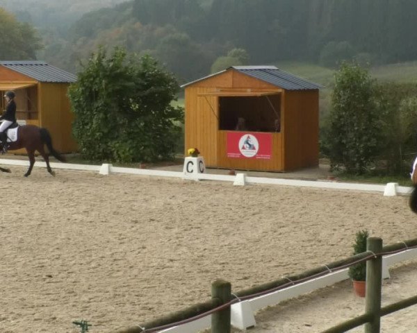 Reitturnier Hünsdorf-Ecurie Josy Hoffmann 2017