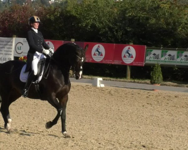Reitturnier Hünsdorf-Ecurie Josy Hoffmann 2017