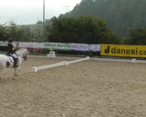 Reitturnier Hünsdorf-Ecurie Josy Hoffmann 2017