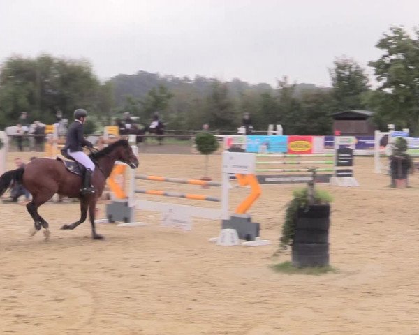 Reitturnier Lüdinghausen-Westrup 2017