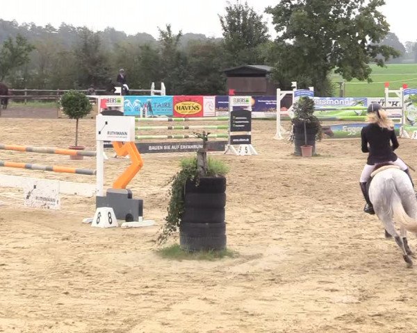 Reitturnier Lüdinghausen-Westrup 2017