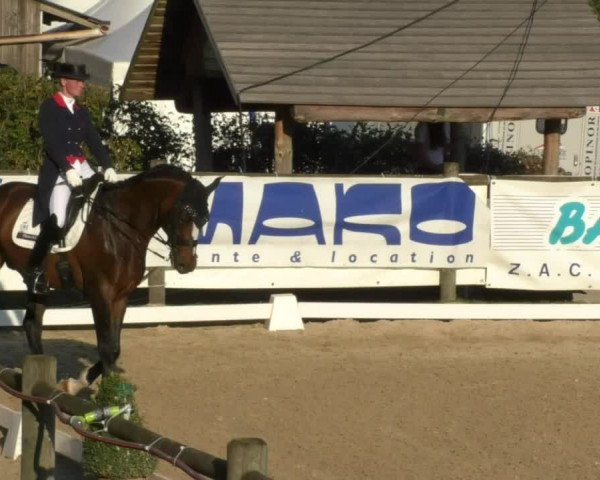 Reitturnier Hünsdorf-Ecurie Josy Hoffmann 2017