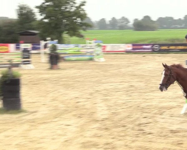 Reitturnier Lüdinghausen-Westrup 2017