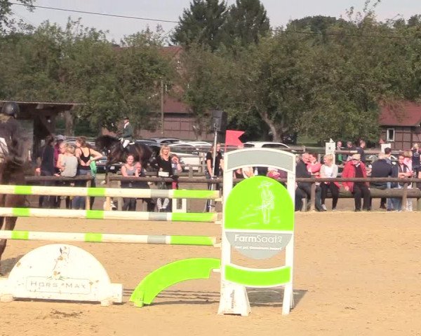 Reitturnier Lüdinghausen-Westrup 2017