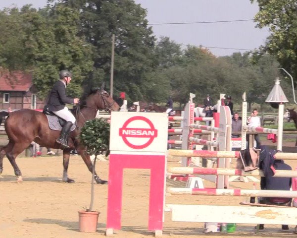 Reitturnier Lüdinghausen-Westrup 2017
