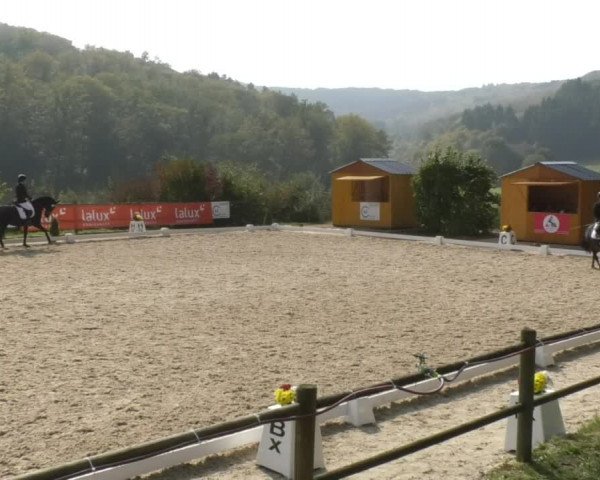 Reitturnier Hünsdorf-Ecurie Josy Hoffmann 2017
