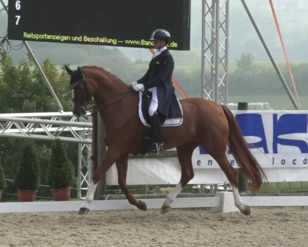 Reitturnier Hünsdorf-Ecurie Josy Hoffmann 2017