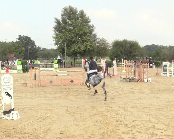 Reitturnier Lüdinghausen-Westrup 2017