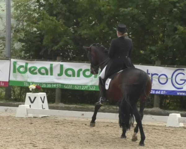 Reitturnier Hünsdorf-Ecurie Josy Hoffmann 2017