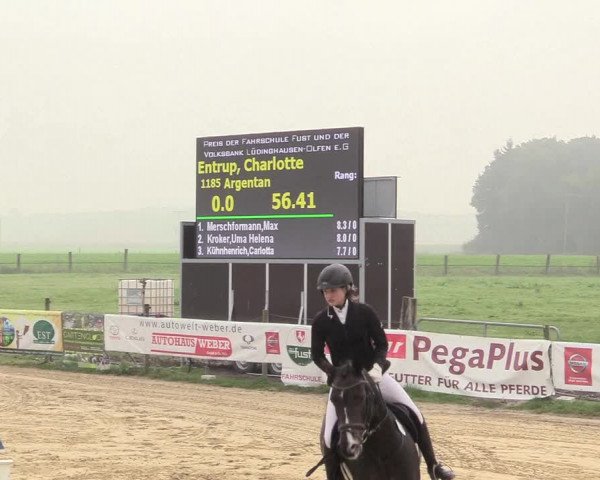 Reitturnier Lüdinghausen-Westrup 2017