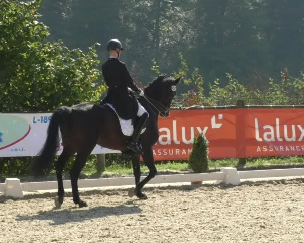 Reitturnier Hünsdorf-Ecurie Josy Hoffmann 2017