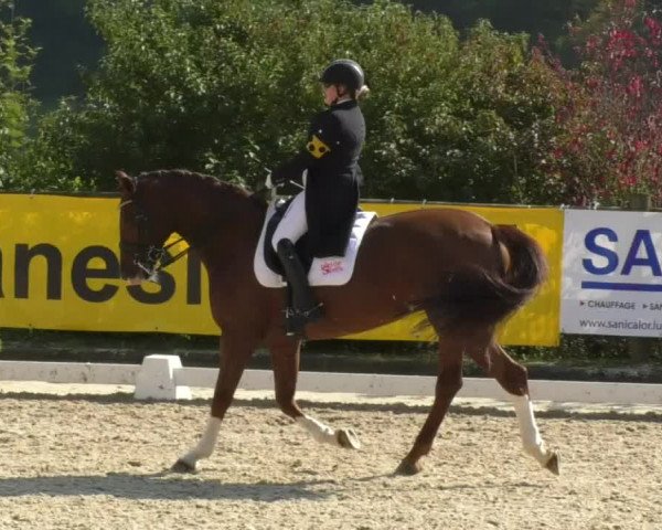 Reitturnier Hünsdorf-Ecurie Josy Hoffmann 2017