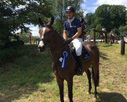 broodmare Acordina 11 (Württemberger, 2012, from Acordelli)