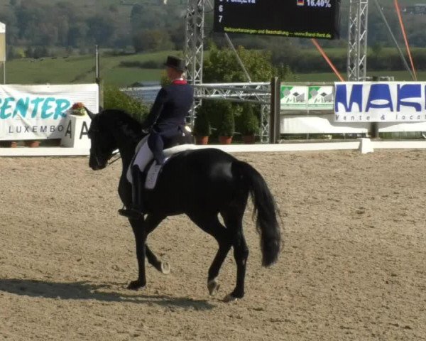 Reitturnier Hünsdorf-Ecurie Josy Hoffmann 2017