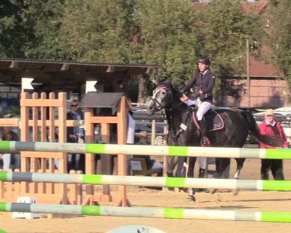 Reitturnier Lüdinghausen-Westrup 2017