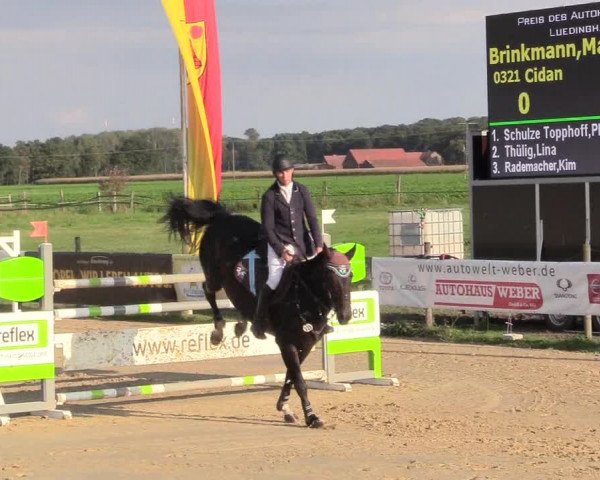 Reitturnier Lüdinghausen-Westrup 2017