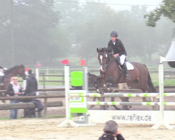 Reitturnier Lüdinghausen-Westrup 2017