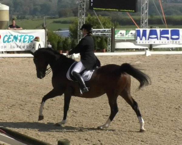 Reitturnier Hünsdorf-Ecurie Josy Hoffmann 2017
