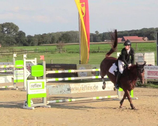 Reitturnier Lüdinghausen-Westrup 2017