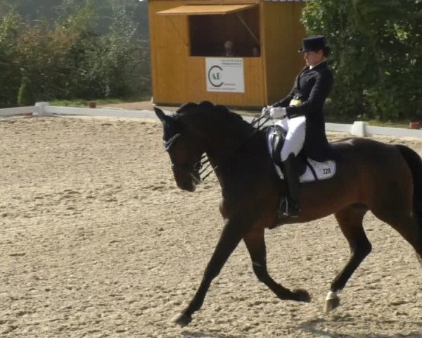 Reitturnier Hünsdorf-Ecurie Josy Hoffmann 2017