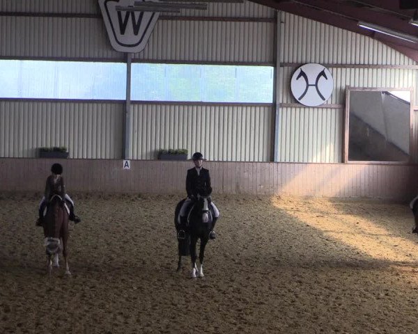 Reitturnier Lüdinghausen-Westrup 2017
