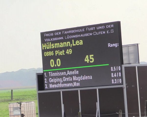 Reitturnier Lüdinghausen-Westrup 2017