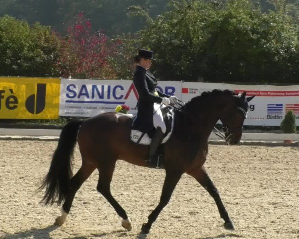 Reitturnier Hünsdorf-Ecurie Josy Hoffmann 2017
