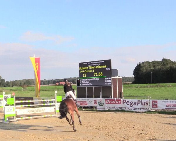 Reitturnier Lüdinghausen-Westrup 2017