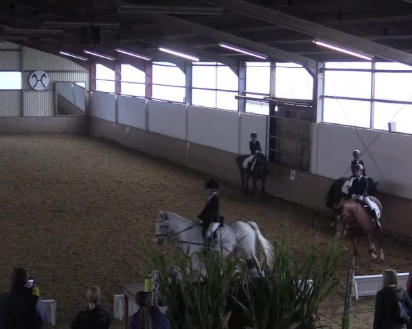 Reitturnier Lüdinghausen-Westrup 2017
