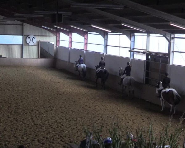 Reitturnier Lüdinghausen-Westrup 2017
